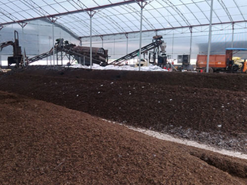 有机肥施肥过多要怎么处理